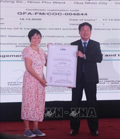 Binh Dinh nearly 4,200 ha of forests certificated by FSC