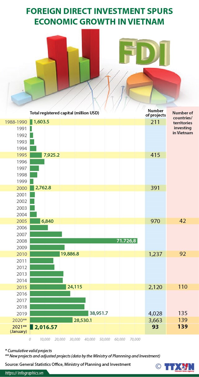 Foreign direct investment spurs economic growth in Vietnam