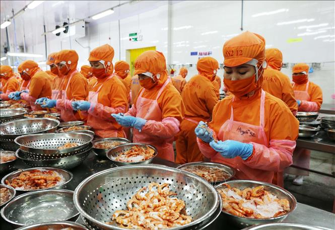 Seafood exports forecast to hit 9 4 billion USD in 2021