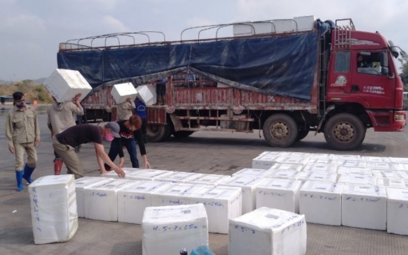 Agricultural exports via Mong Cai border gate soar sharply