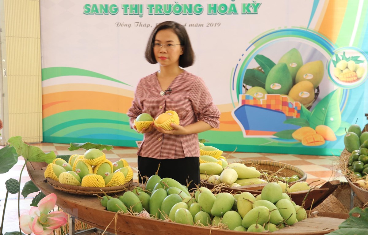 Country earns over 180 million USD from mango export