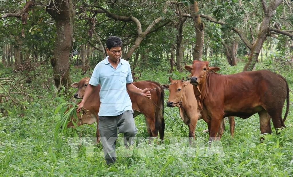 Over 6 4 million poor households access policy loans