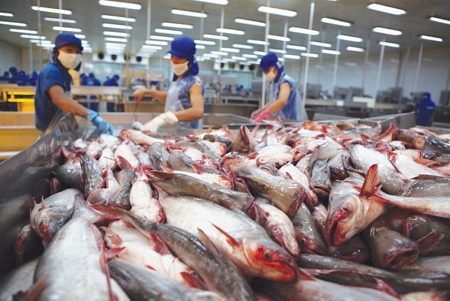 Seafood exports forecast to reach 2 32 billion USD in 4 months
