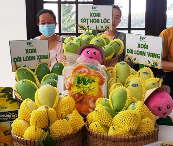 Mango exports surpass 180 million USD