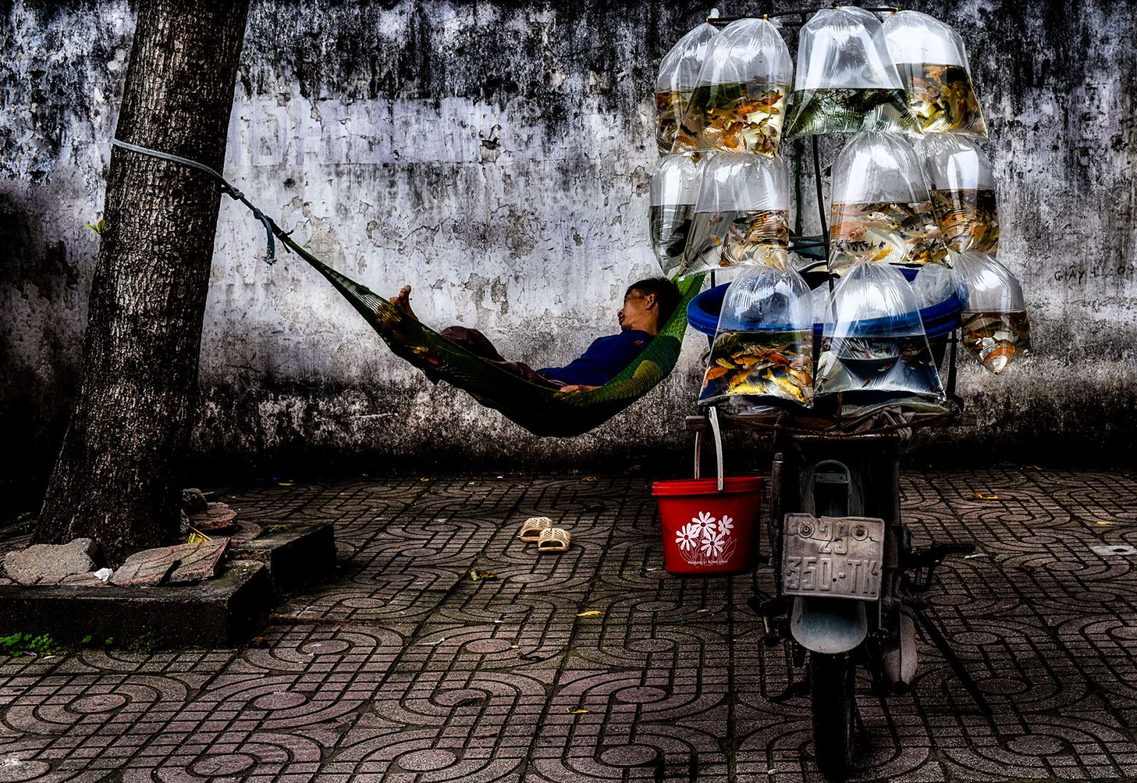 Vietnamese photographer wins two silver medals at Photo Circle 2021