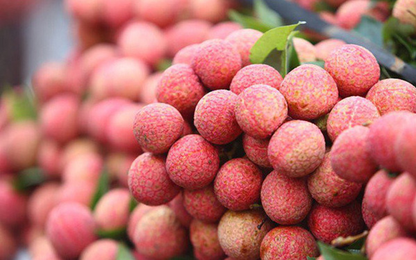 First batch of Thanh Ha lychee arrives in Japan