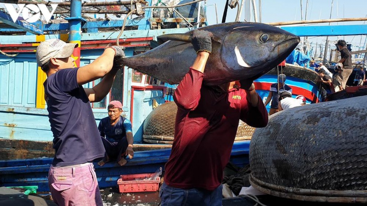 Tuna export rises sharply in April