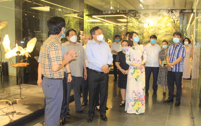 Deputy Secretary of Hanoi Party Committee visits Hanoi Museum
