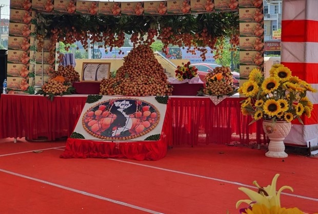 Fresh lychees grown in Bac Giang’s Tan Yen district hit shelves in Japan
