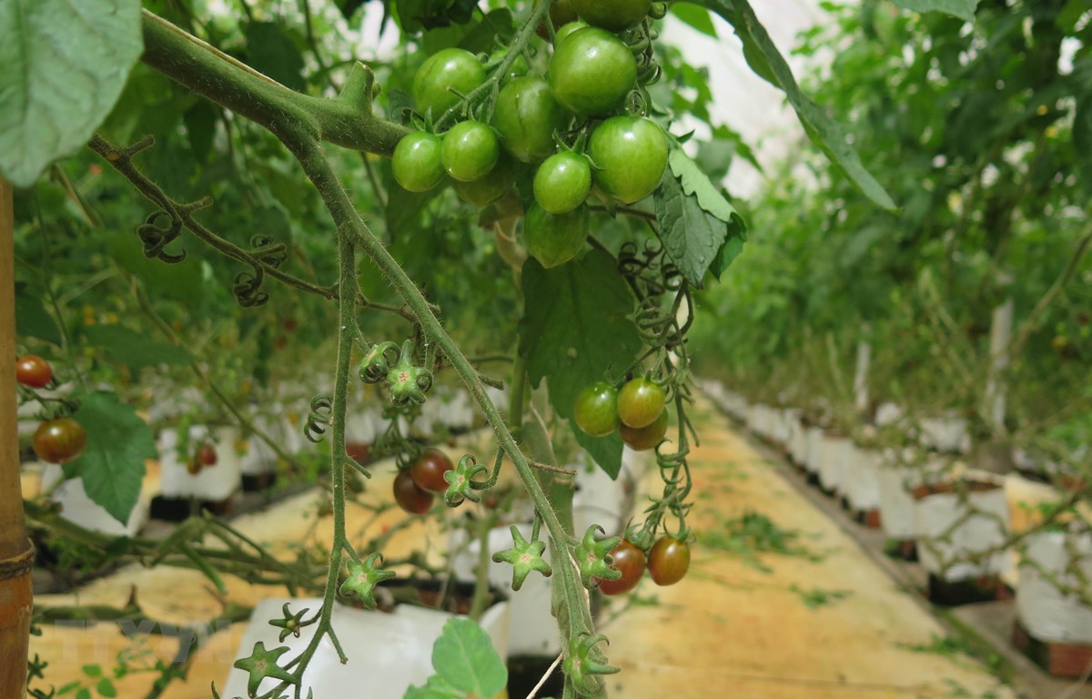 Public investment disbursement for agriculture fulfils nearly 36 of yearly target