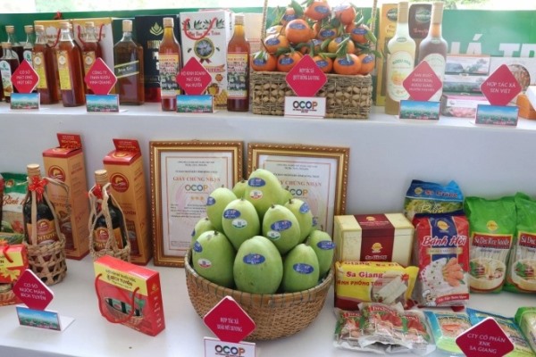 37 teams and individuals honoured for OCOP program participation