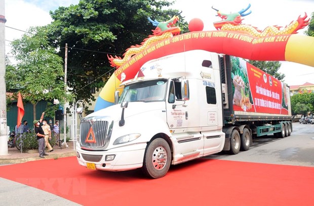 Son La longan exported to EU, UK markets