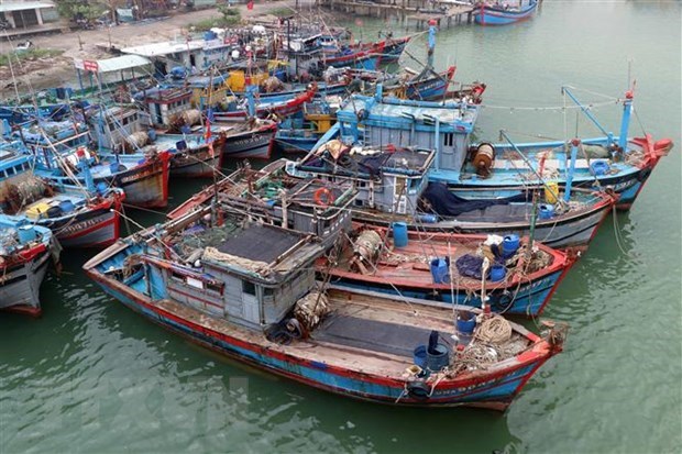 China’s military drill in Hoang Sa violates Vietnam s sovereignty Spokeswoman