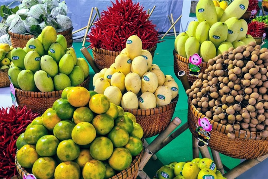 Export revenues from agricultural products increase strongly despite COVID-19