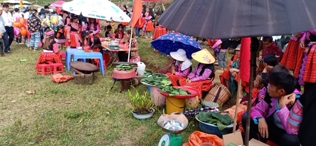 Northeastern ethnic group cultural, sports and tourism festival suspension