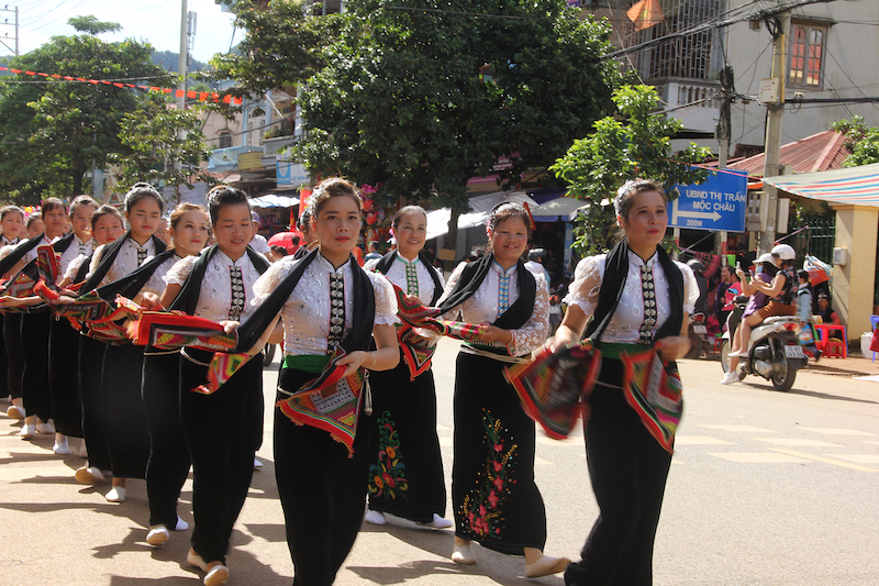 Moc Chau Ethnic Culture Festival suspension
