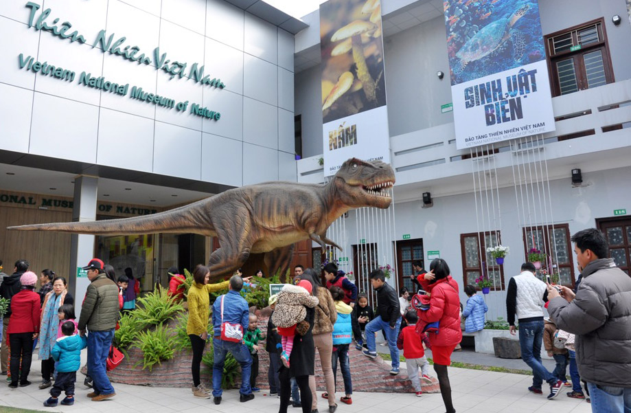 Detailed plan of Vietnam Musuem of Nature approved