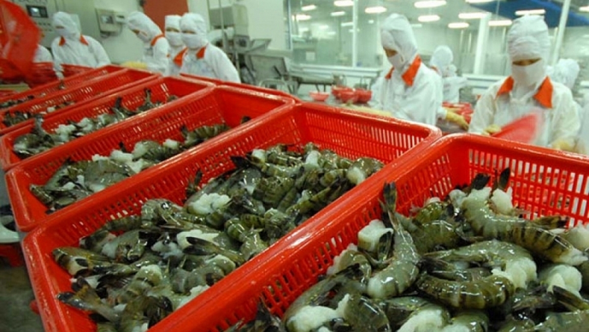 Vietnamese shrimp exports witness robust growth in FTA markets