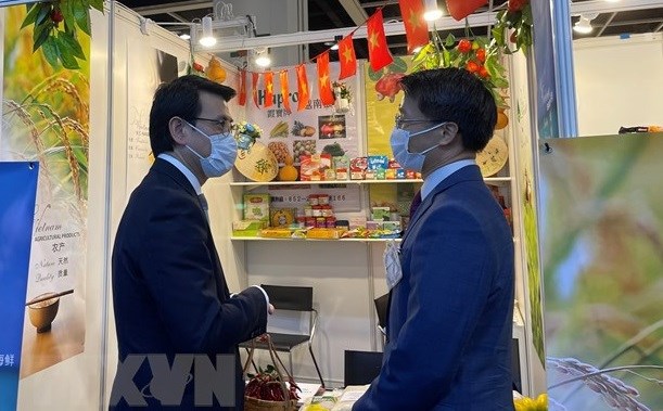 Vietnam looks to expand cooperation with Hong Kong