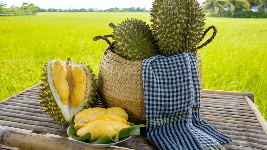 Vietnamese durian sold well in Australia