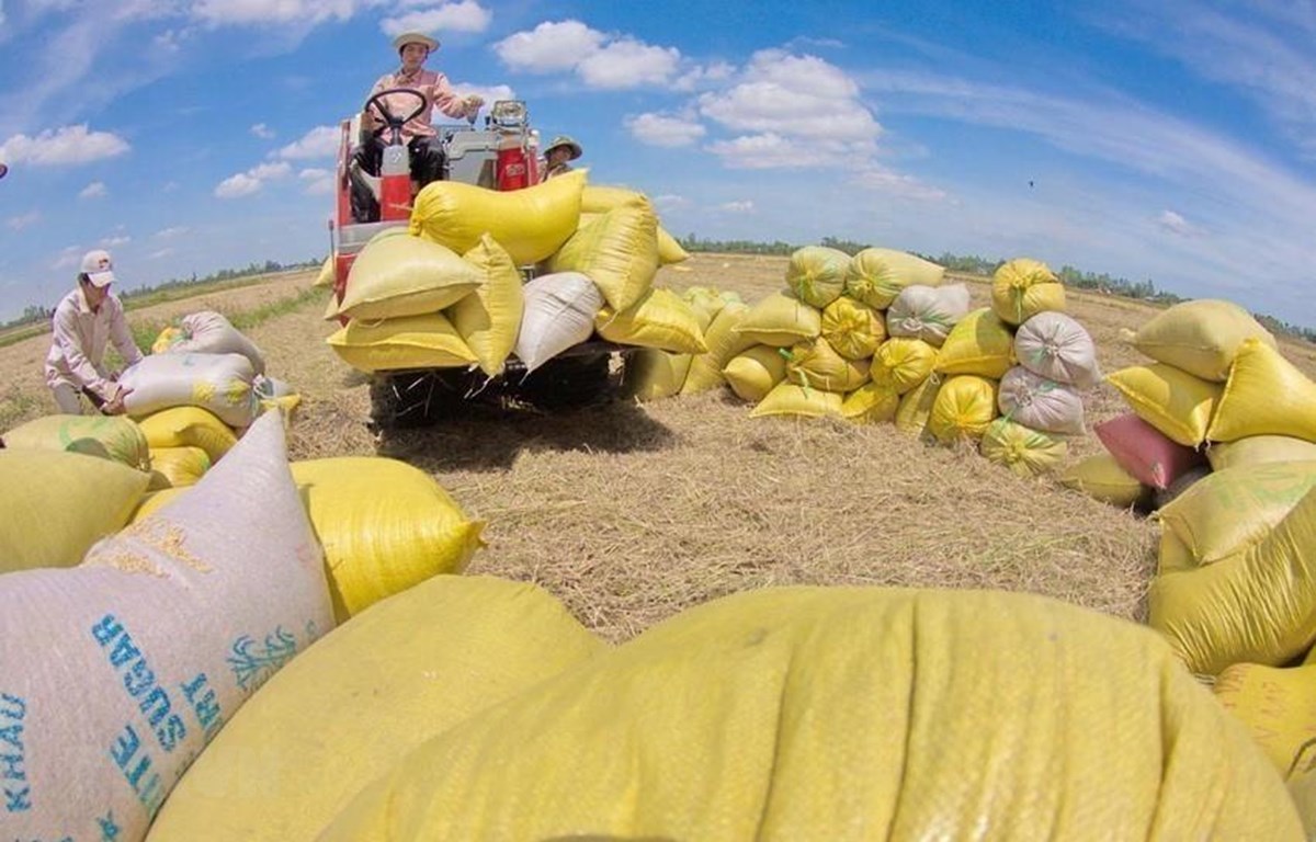 Vietnam’s exports to Australia grow rapidly