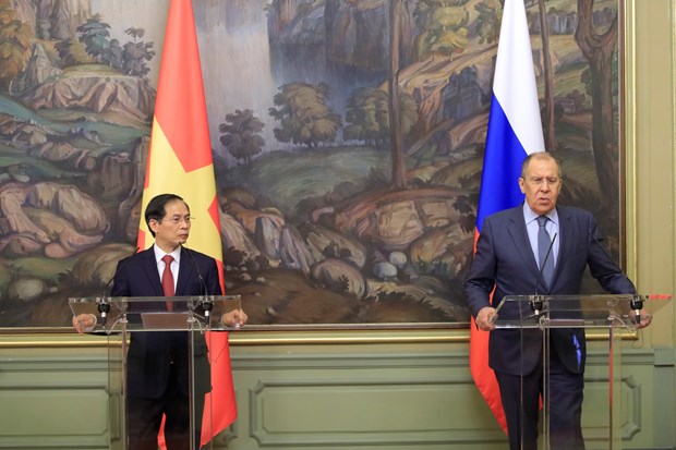 Vietnam - Russia partnership keeps developing dynamically FMs
