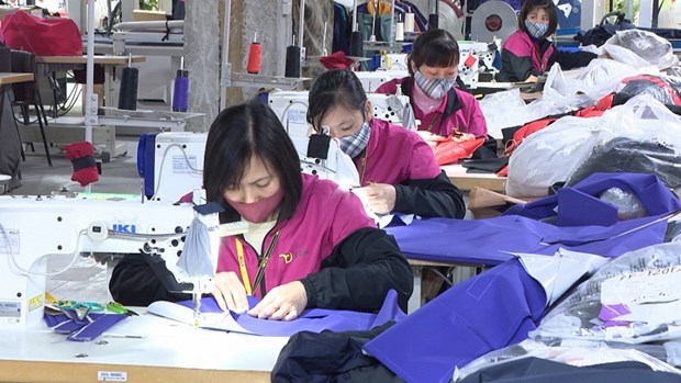 Thai Binh works to attract big investors in industry