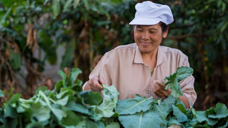 Transforming agriculture key to Asia and Pacific’s future and survival