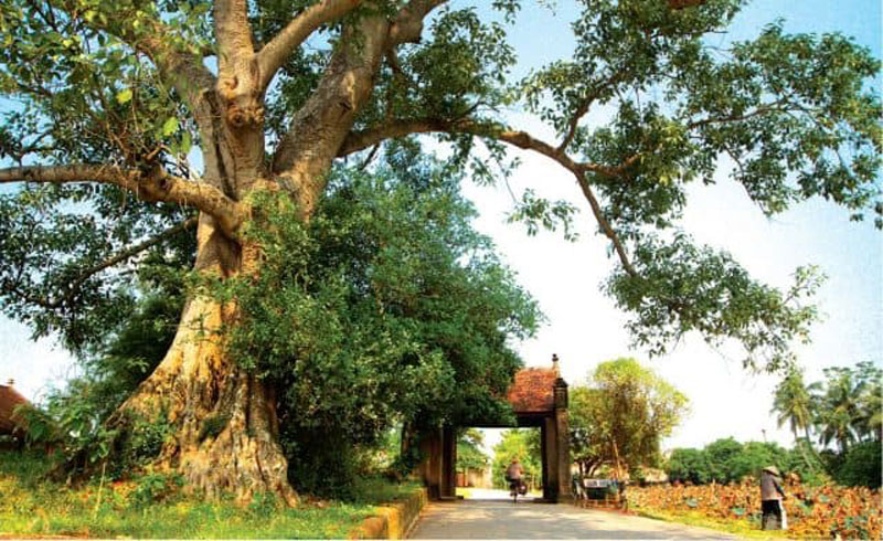 Hanoi prepares “green” tourism products to welcome tourists