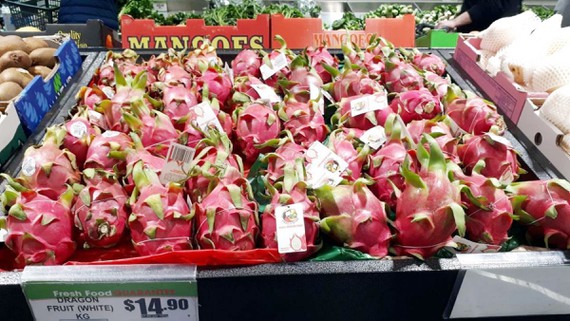 Vietnamese dragon fruit rated “5 stars” in Australia