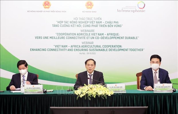 Seminar seeks way to boost sustainable Vietnam-Africa farming cooperation