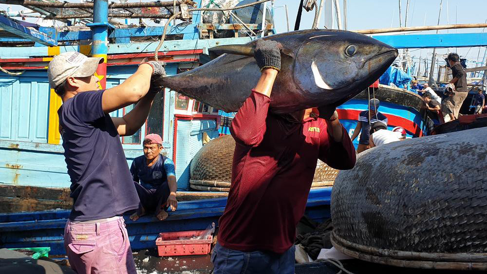 Seafood export hits 2 1 billion USD in 8 months