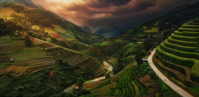 Picture of Vietnamese terraced fields enters an international photo awards