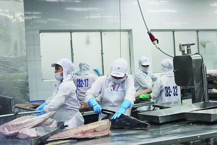 Tuna export to China sees threefold increase