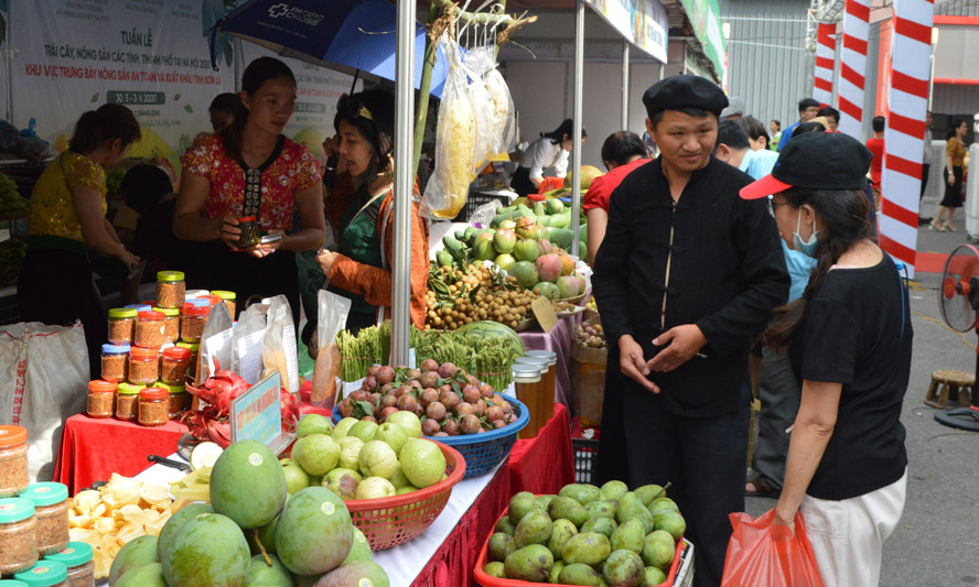 Hanoi schedules fruit festival in November