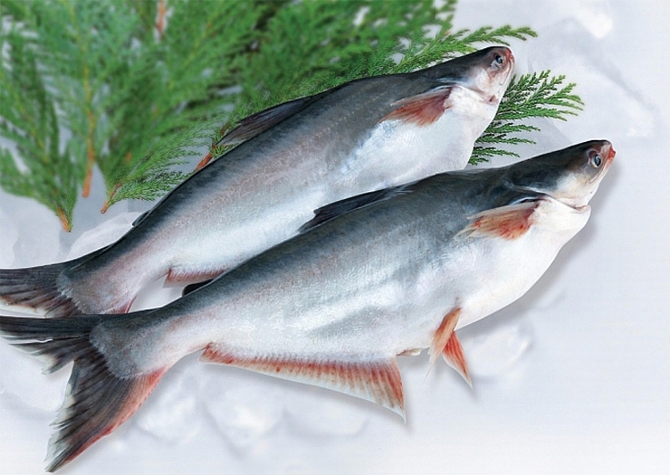 Vietnamese tra fish accounts for 93 of catfish imports into the US