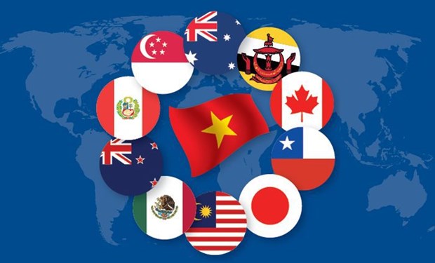 Reviewing law-making activities essential for better CPTPP s implementation