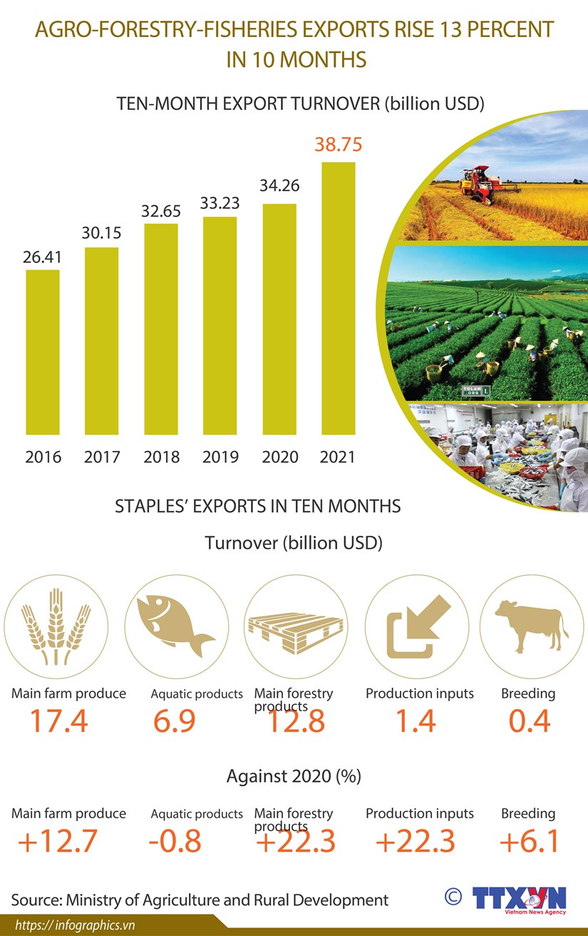 Agro-forestry-fisheries exports up over 13 percent in 10 months