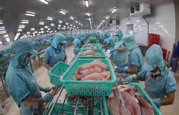 Vietnam moves to widely popularise tra, basa fish in Australia