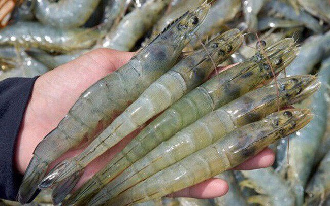 Vietnam account for more than half of Korean shrimp imports