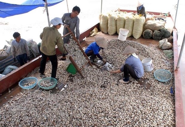 Exporting first container of canned clam to Europe