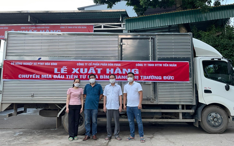 First batch of sugarcane grown in Hoa Binh shipped to Germany
