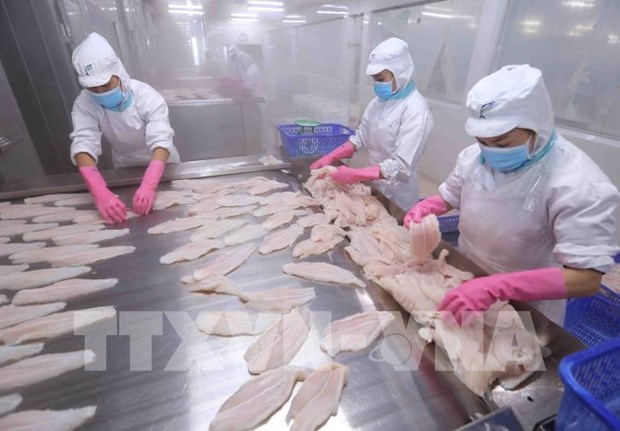 Fishery exports projected to near 8 9 billion USD this year