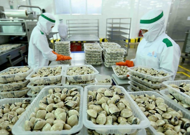Sputnik experts upbeat about Vietnam’s economic growth 2022