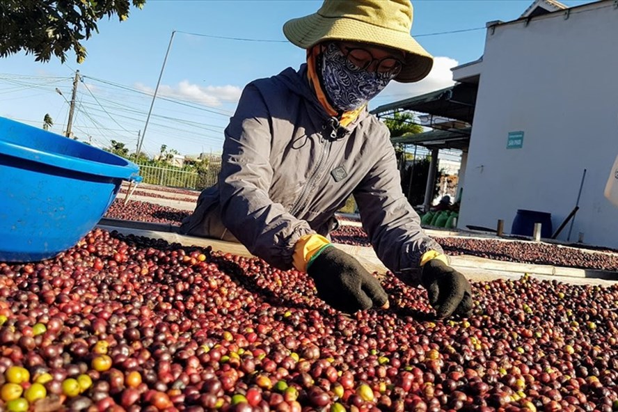 Agro-forestry-fishery exports fetch 48 6 billion USD in 2021