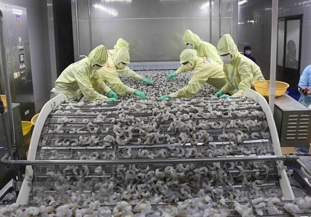 Vietnamese, Brazilian businesses eye stronger trade ties