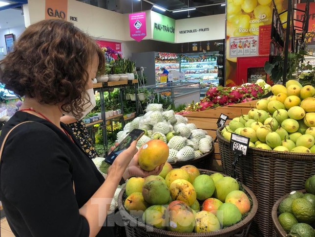 Ho Chi Minh City launches “Green consumption” campaign