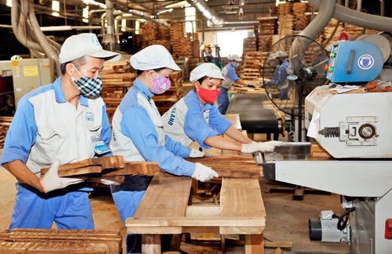 Vietnam enjoys 13 billion-USD trade surplus thanks to forest products