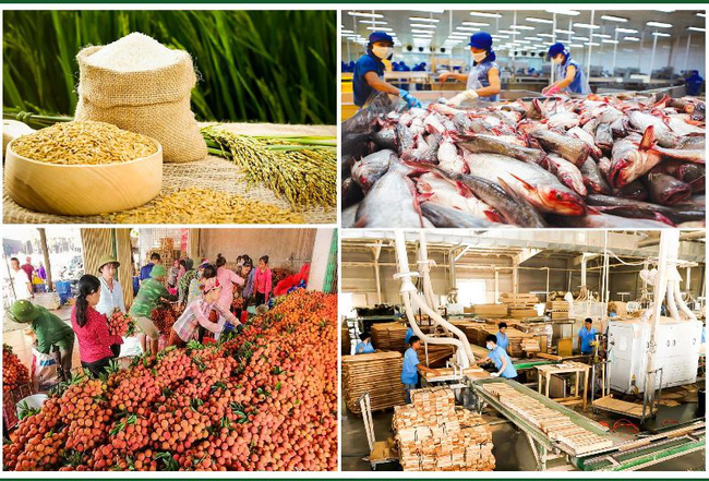 Agro-forestry-fishery enjoys trade surplus in 11 months
