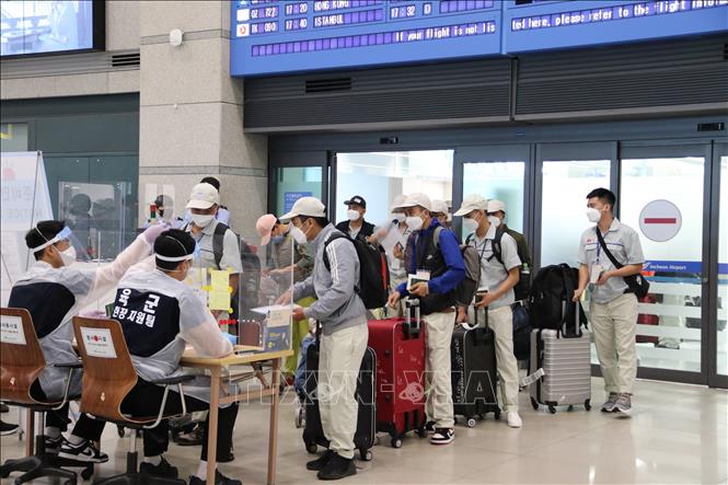 Vietnamese workers have many opportunities to work abroad in 2022